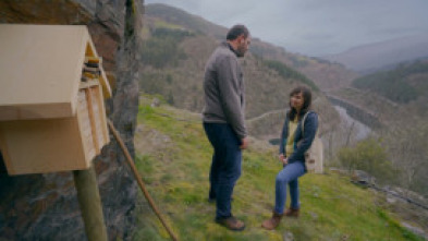 Ruralitas: Alcaldesa y maestro