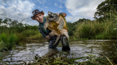 Coyote Peterson en lo...: Rodeado de abejas asesinas