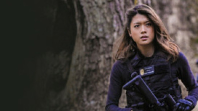 Imagen de Hawai 5.0 (T3): Ep.22 Ho'opio (Prisionera) - 5