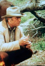 Imagen de Los rastreadores - 4