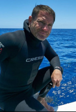 Shark with Steve Backshall 