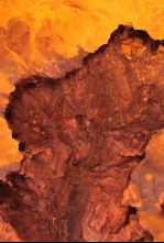 Imagen de Viatjar a Mart. Salvar la Terra - 4