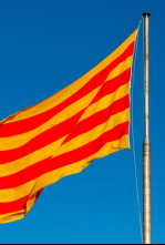 Imagen de Especial Diada (T2025): Acte institucional 11 S - 4