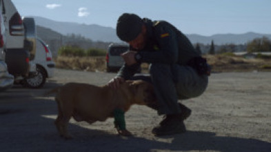 Imagen de Seprona en acción: Ep.5 - 5