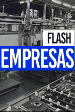 Flash Empresas