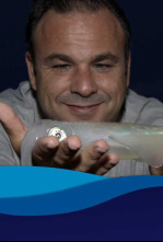 El chef del mar: Doñana