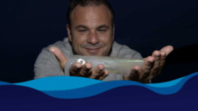 Imagen de El chef del mar - 5
