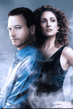 Imagen de C.S.I. Nueva York (T1): Ep.19 Delito y falta - 4