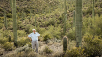 Planeta Verde: Las cuatro estaciones