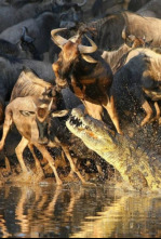 Imagen de El verdadero club de la lucha - 4