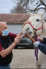 Imagen de El increíble doctor Pol: Juego de huesos - 4