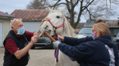 Imagen de El increíble doctor Pol: Caniches y compañía - 5
