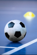 Imagen de Primera Divisió de Futbol Sala - 4