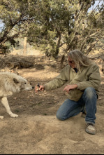 Imagen de ¿Cómo lo hacen?...: Lizard Vs Water Buffalo - 4