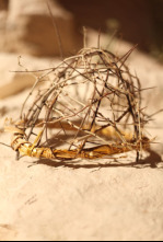 Imagen de Expedientes misterio...: Los secretos de la crucifixión - 4