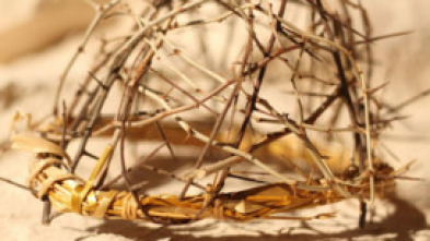 Imagen de Expedientes misterio...: Los secretos de la crucifixión - 5