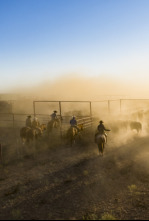 Descubriendo Texas: el...: Cowboys y delfines