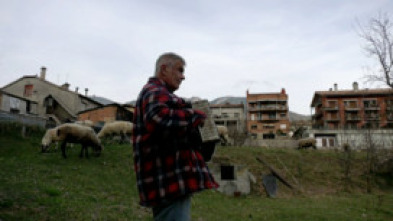 Imagen de Pastors i ramats: un...: Sergi Sánchez - 5