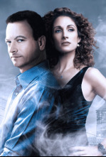 Imagen de C.S.I. NY (T2): Ep.3 Muerte en el zoo - 4