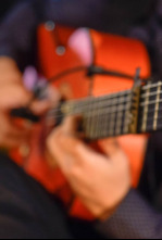 Flamenco Andalucía