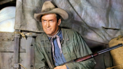 Imagen de Winchester 73 - 14