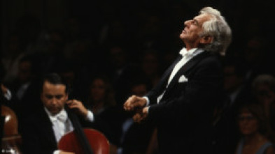 Imagen de Beethoven, Sinfonía nº 9 en re menor Op. 125 - 5