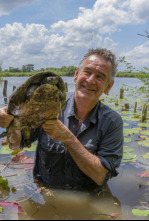 Imagen de Wild Centroamérica: Guatemala - 6
