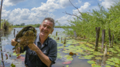 Wild Centroamérica: Guatemala