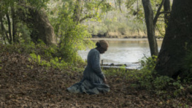 Imagen de Harriet - 7
