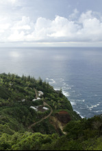 Los tiburones de las islas Pitcairn