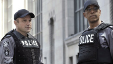 Flashpoint (T5): Ep.10 Su propio mundo