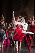 Imagen de José Martinez: Don Quijote - Gran Teatro de Burdeos - 4