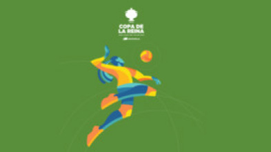 Imagen de Copa de la Reina de voleibol - 5