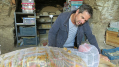 Imagen de Misterios en el museo: Judy, la perra prisionera - 7