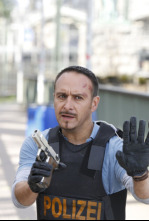 Imagen de Alerta Cobra (T16): Ep.13 Asuntos de familia - 5
