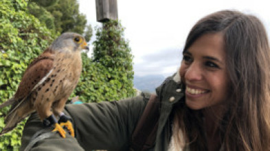 Imagen de ¡Qué animal! (T4): Fósiles vivientes - 5