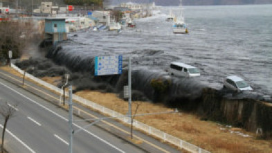 Testigos: la tragedia de Japón