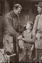 Imagen de Alma solitaria - 4