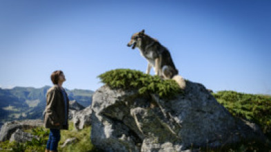 Asesinato en el Sancy