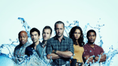 Imagen de Hawai 5.0 (T1) - 5