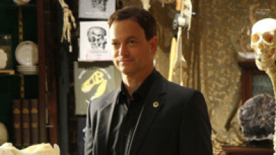 Imagen de C.S.I. NY (T4): Ep.15 Muerte por un día - 5