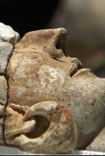 Imagen de Tarteso, un reflejo en el Guadiana - 4