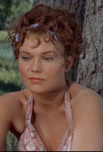 Imagen de Picnic - 4