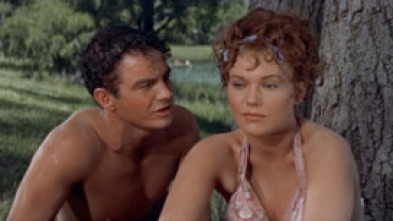 Imagen de Picnic - 5