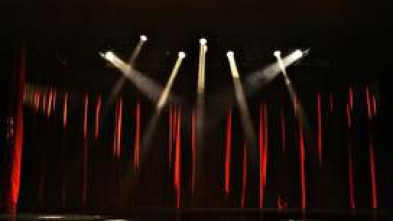 Imagen de Festival de Cine... (T2025): Gala de apertura - 5