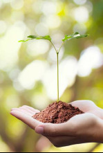 Imagen de Si les glaciers ne revenaient pas - 4