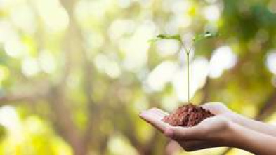 Imagen de Si les glaciers ne revenaient pas - 5