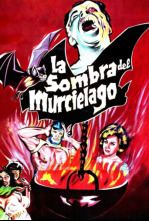 La sombra del murciélago