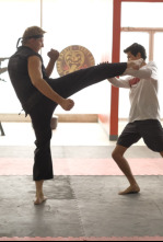 Imagen de Cobra Kai (T1): Ep.9 Diferentes pero igual - 8