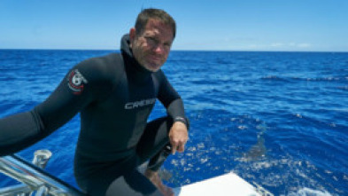Imagen de Shark with Steve...: Tiburones del Océano Pacífico - 7